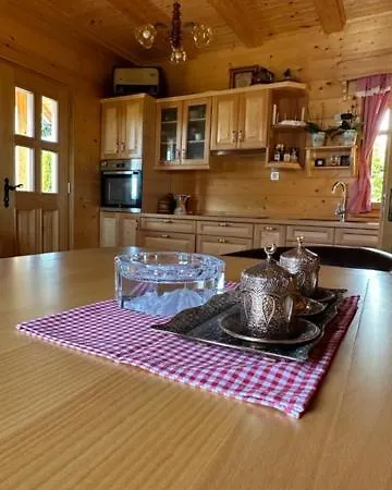 Chalet Wooden House